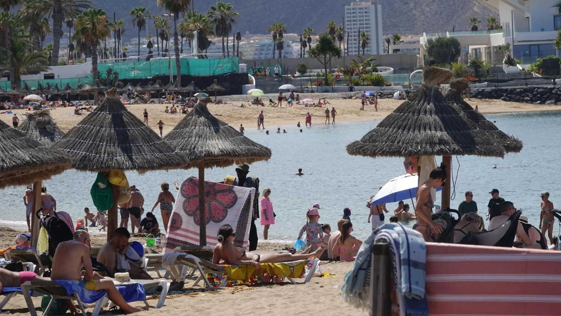 Terraza Los Cristianos Arona  0*, Arona (Tenerife) Espagne