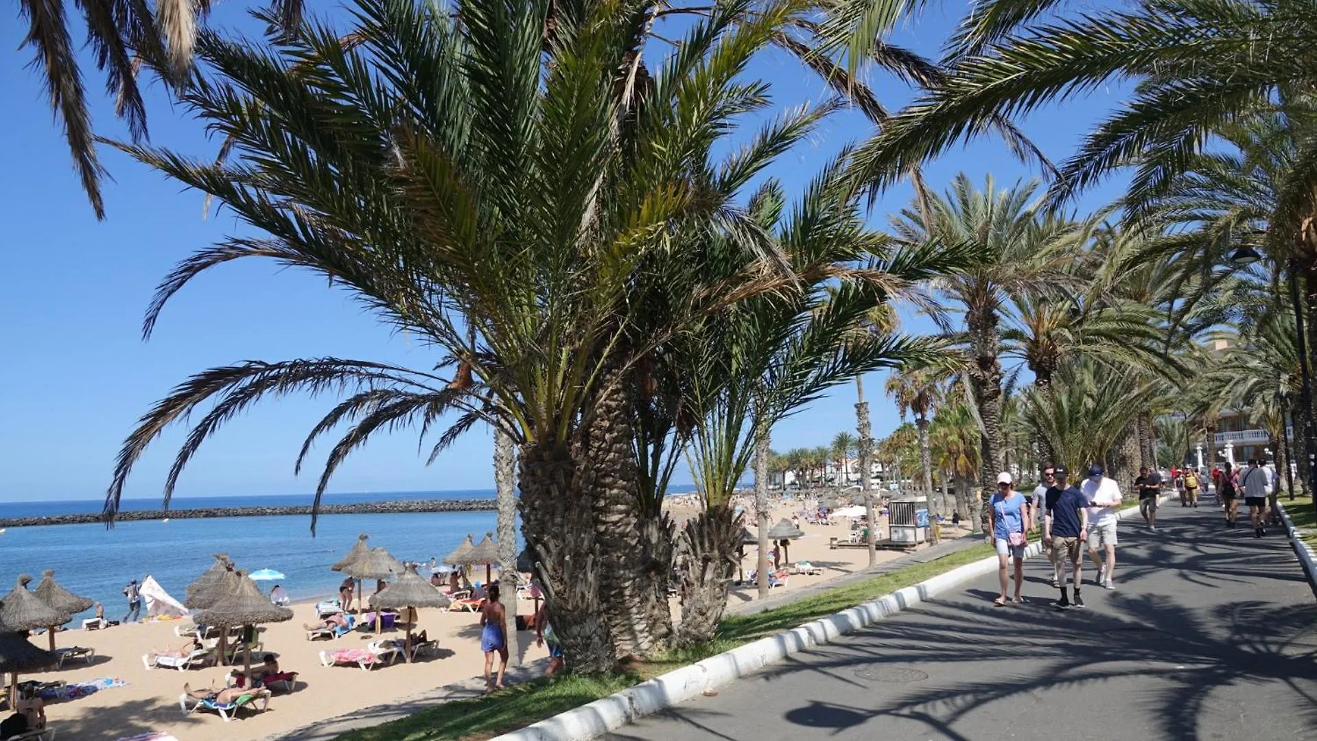 Terraza Los Cristianos أرونا شقة