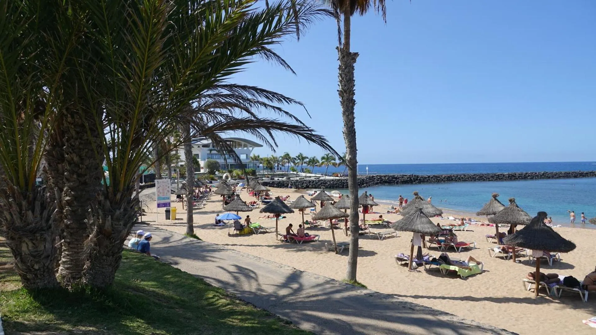 Terraza Los Cristianos Arona  Arona (Tenerife)