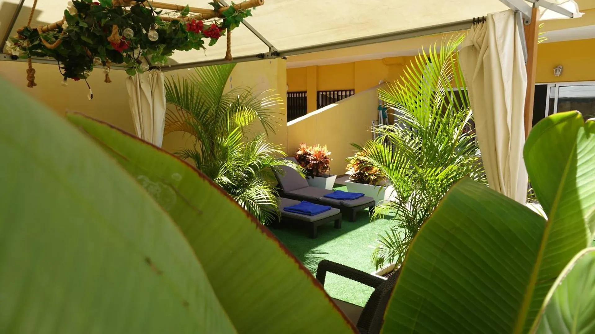 Terraza Los Cristianos Arona